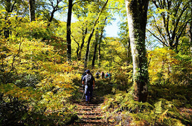 Amo Prefectural Natural Park