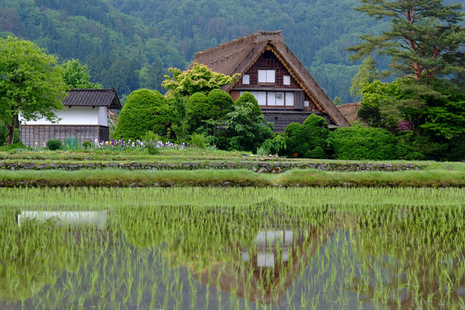 白川郷合掌造り集落